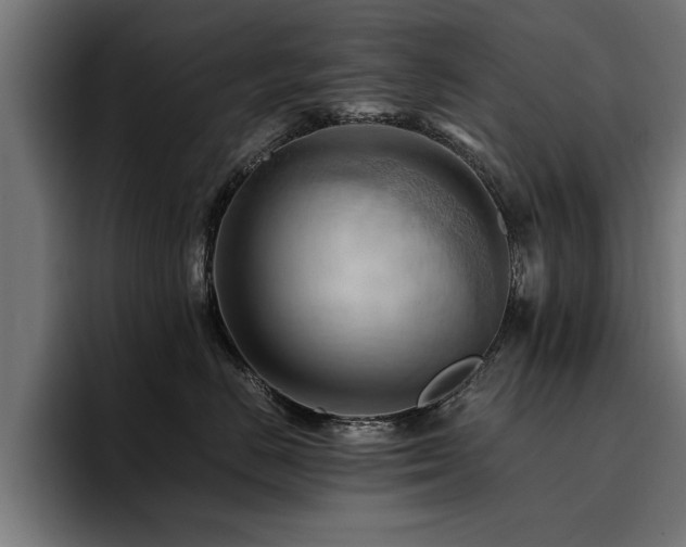X0000094450670200711081306