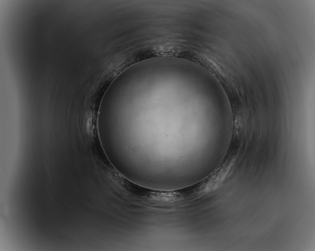 X0000094450671200711081306