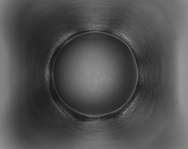 X0000094450674200711081305