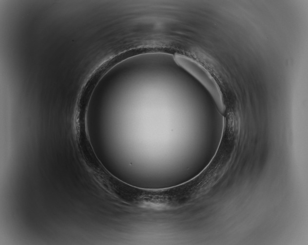 X0000094450676200711081305