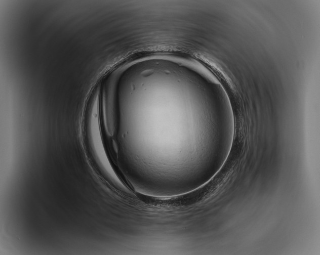 X0000094450677200711081305