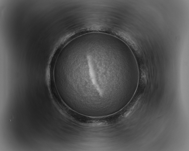 X0000094450678200711081305