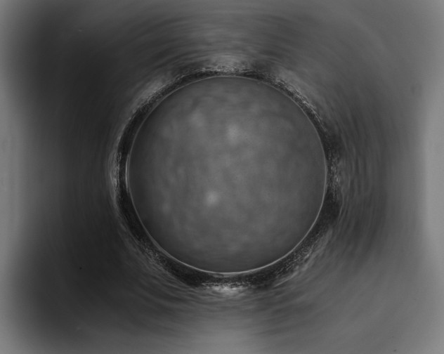 X0000094450679200711081305
