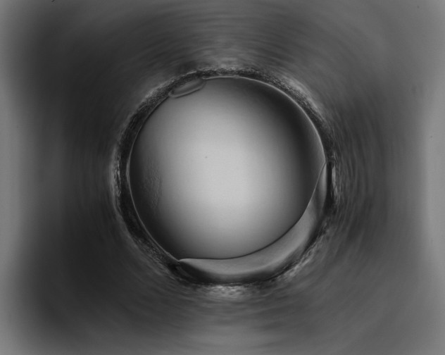 X0000094450680200711081305