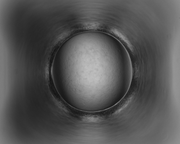 X0000094450681200711081305