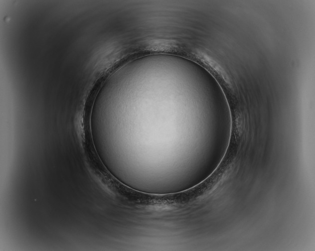 X0000094450682200711081305