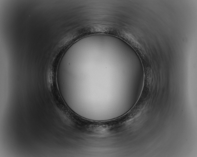 X0000094450683200711081305