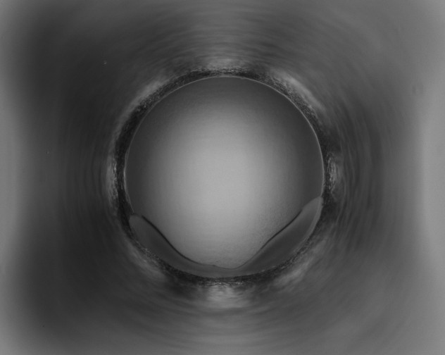 X0000094450684200711081305