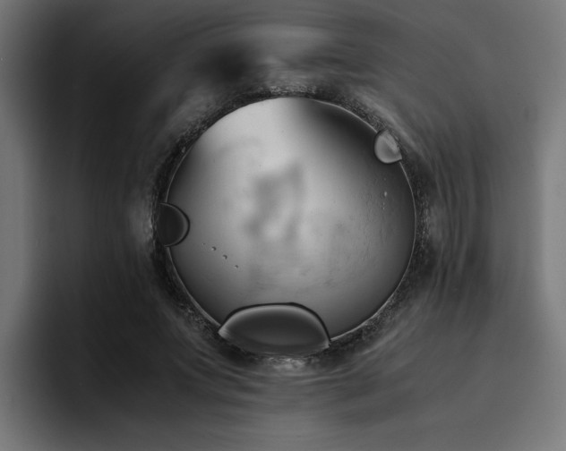X0000094450687200711081305