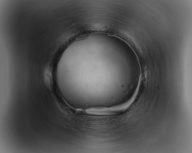 X0000094450688200711081305