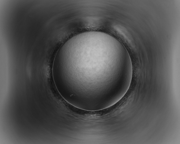X0000094450689200711081305