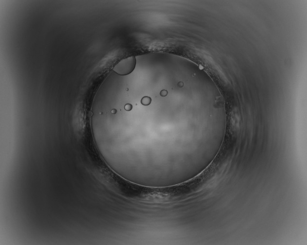 X0000094450691200711081305