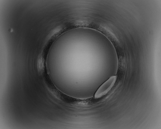 X0000094450692200711081305