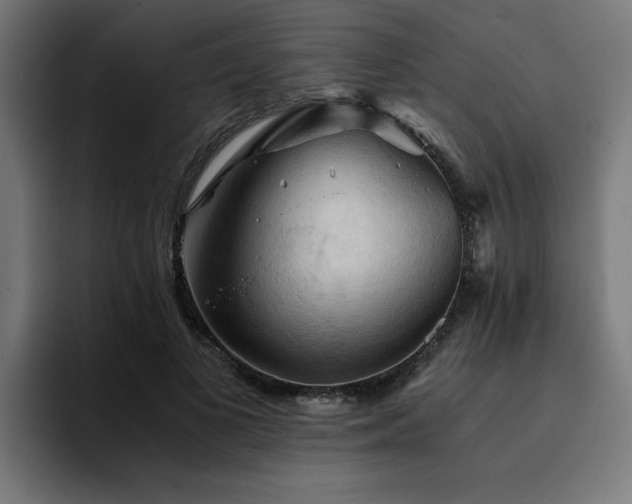 X0000094450693200711081305