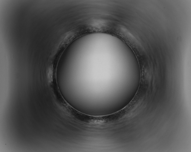 X0000094450694200711081305