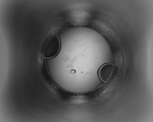 X0000094450695200711081305