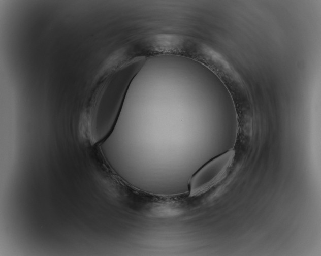 X0000094450696200711081305