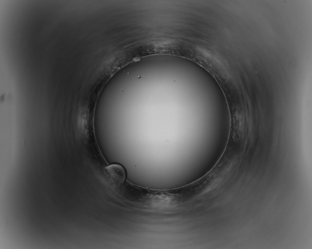 X0000094450698200711081305