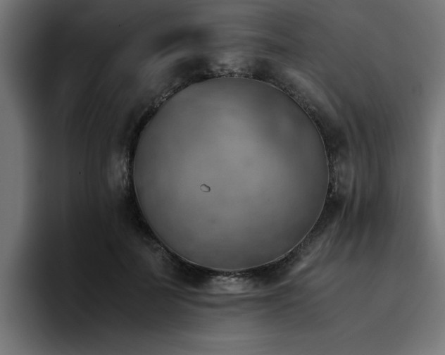 X0000094450699200711081305