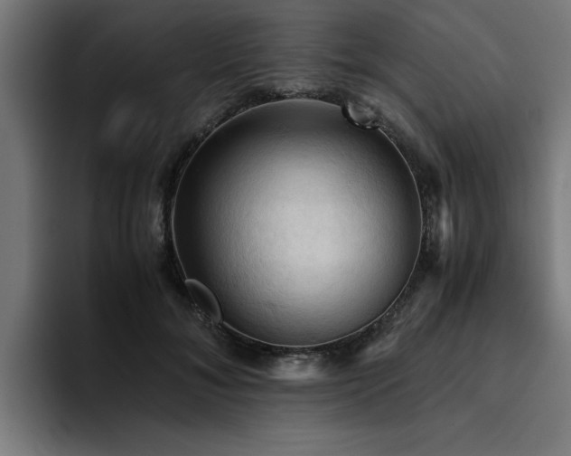 X0000094450700200711081305