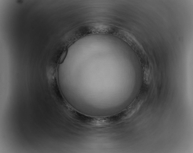 X0000094450701200711081305