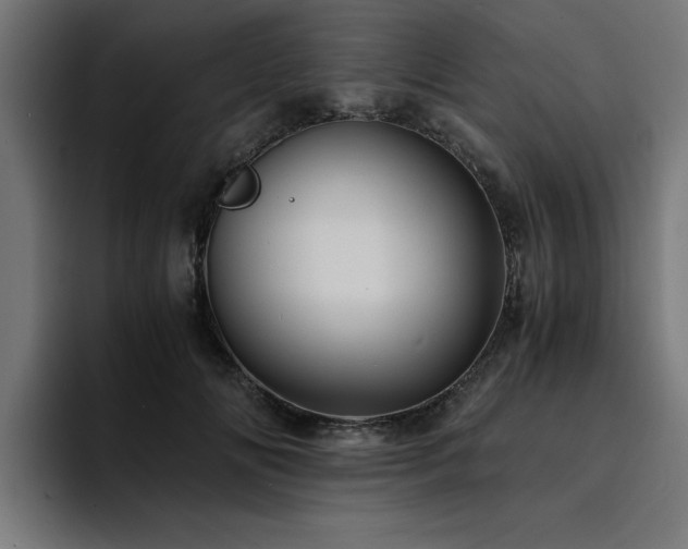 X0000094450702200711081305