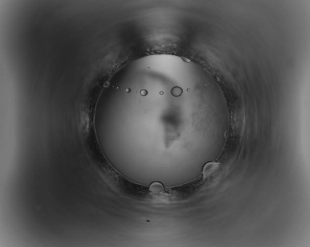 X0000094450703200711081305