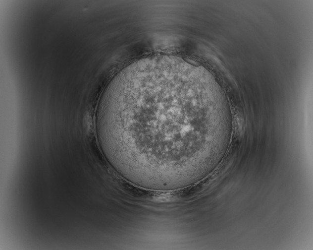 X0000094450705200711081305
