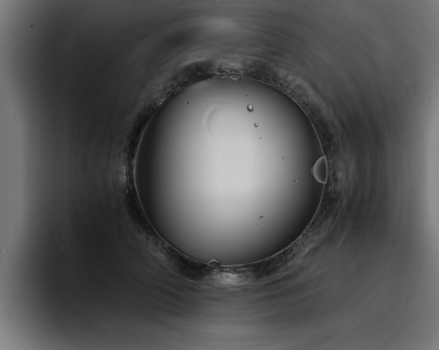 X0000094450706200711081305