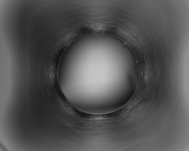 X0000094450710200711081305