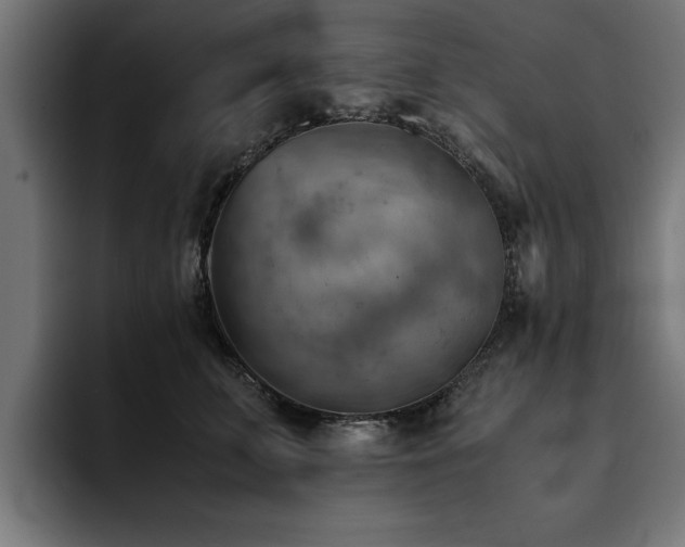 X0000094450711200711081305