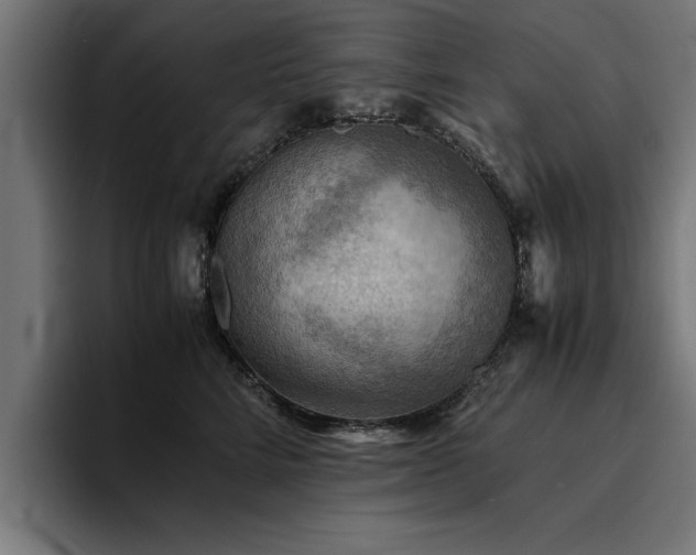 X0000094450712200711081305