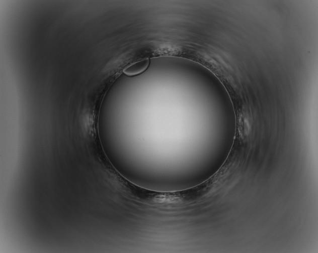 X0000094450714200711081305