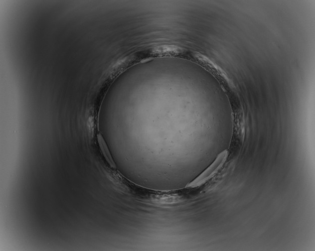 X0000094450716200711081305