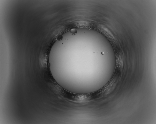 X0000094450717200711081304