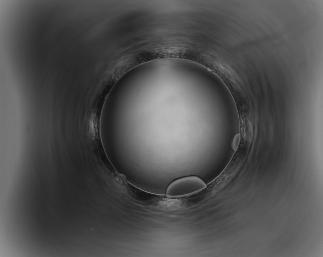 X0000094450718200711081304