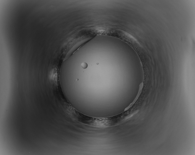 X0000094450720200711081304