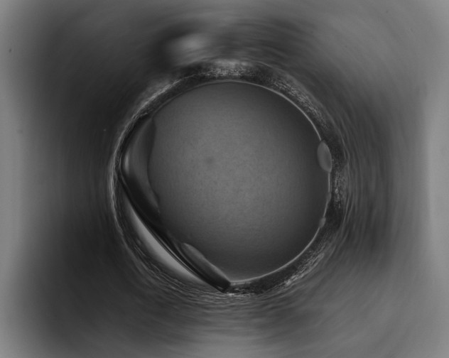 X0000094450722200711081304