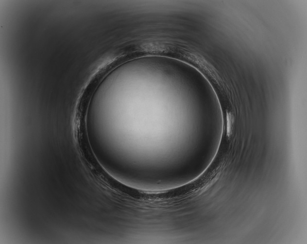 X0000094450723200711081304