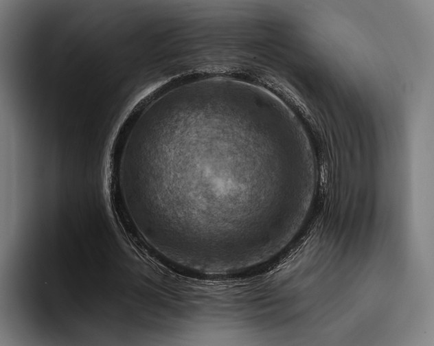 X0000094450724200711081304