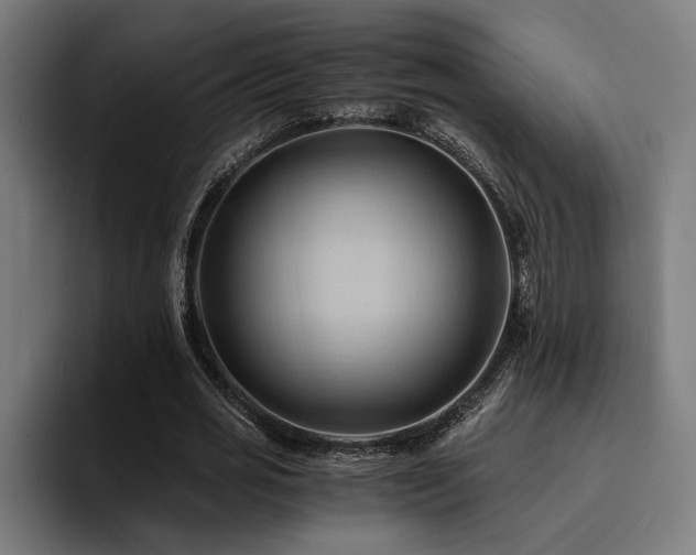 X0000094450725200711081304