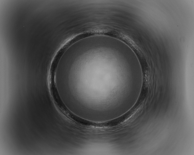 X0000094450726200711081304