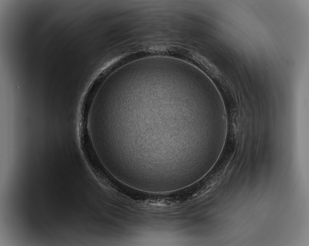 X0000094450728200711081304