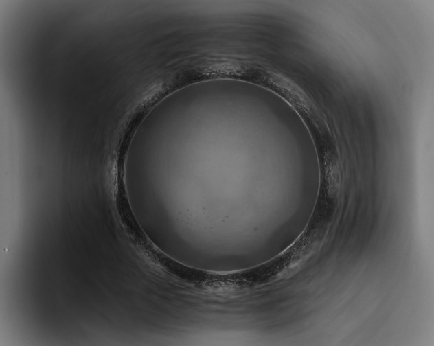 X0000094450729200711081304