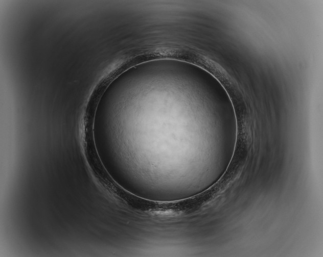 X0000094450730200711081304