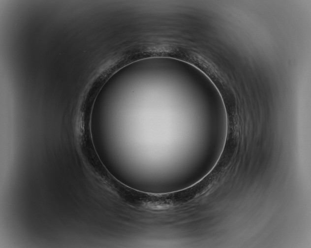 X0000094450731200711081304