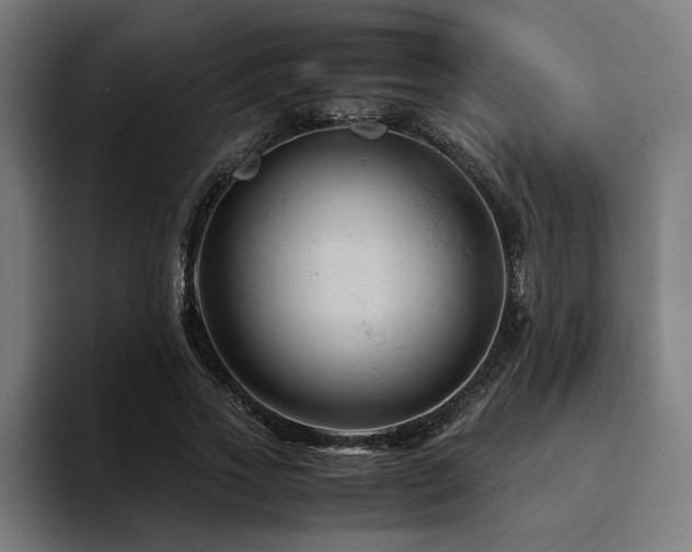X0000094450733200711081304