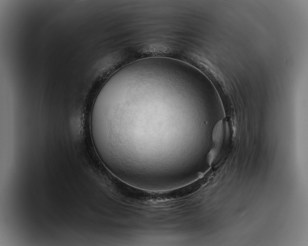 X0000094450735200711081304