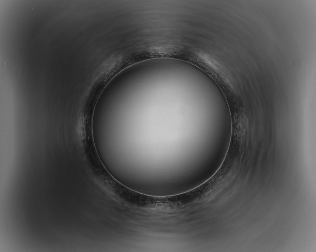 X0000094450738200711081304