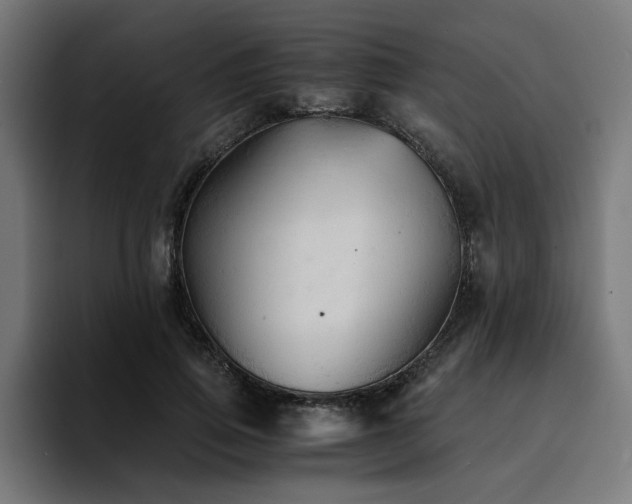 X0000094450741200711081304